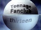 Teenage Fanclub vinyl LP album record Thirteen UK CRELP144 CREATION 1993