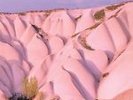 Amber by Autechre (Vinyl, Nov-2016, 2 Discs, Warp)