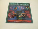THE BOO RADLEYS - LEARNING TO WALK - LP 1993 ROUGH TRADE RECORDS UK W/INSERT