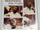 Muddy Waters Folk Singer 12