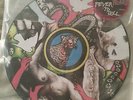 Yeah Yeah Yeahs Fever to Tell Picture Disc LP Record Album Vinyl