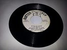 BUTTERFLY/BOUND IN CHAIN - WINSTON & THE EXAMPLES [ROOTS REGGAE] 7