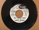 Larry Bright - Way Down Home/Bloodhound * Tide Rockabilly 45 Promo NM