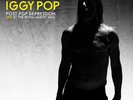 Iggy Pop: Post Pop Depression Live Royal Albert Hall RSD 2017 3X Vinyl Set/1200.