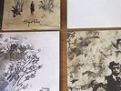Sigur Ros Rare Vinyl Bundle - Takk - Hoppipolla - Saeglopur - Ba Ba Ti Ki Di Do