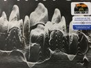 Thrice - Sea Change/Black Honey (Live) - RSD 2017 7