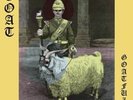 Record Store Day 2017 RSD Goat Goatfuzz 7