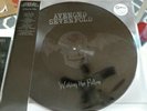 Avenged Sevenfold Waking The Fallen RSD 2017 Picture Disc LP Record Store Day