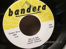 Rare Rockabilly-Benny Ingram-Jello Sal/How Can I Keep You-Bandera 1302 Clean
