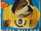 Nicky BULLDOG Spanish 45 Dog power song Fuzzy Freakbeat Cosmic disco Hear ?