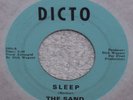 1965 Detroit Garage The Sand SLEEP & DESPERATELY Dick Wagner DICTO Label