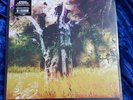 ANIMAL COLLECTIVE RSD 2017 MEETING OF THE WATERS