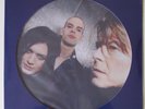 Placebo David Bowie Without You I'm Nothing Picture Disc Record Store Day RSD 17