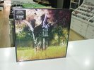 ANIMAL COLLECTIVE LP MEETING OF THE WATERS RSD 2017