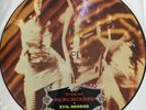 THE SEEDS EVIL HOODOO LP BAM CARUSO UK RARE PICTURE DISC PSYCH GARAGE
