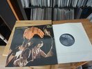 PRETTY THINGS Emotions 1967 1st Press STEREO LP in Mint