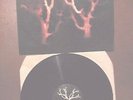 SOL INVICTUS Trees in winter-LP-(Wakeford/Death in June/Current 93)-neofolk dark