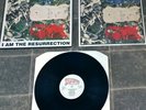 The Stone Roses I Am The Resurrection 12