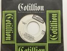 The Velvet Underground 45 Who Loves The Sun MONO Cotillion WLP Promo Lou Reed
