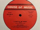 MR. MASTER A Dog In The Night italodisco italo disco house of music 12