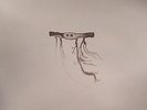 GONZALEZ, Jose - In Our Nature - Vinyl (LP)