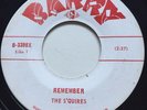 GARAGE ROCKABILLY The S'quires REMEMBER Barry 45 very rare Canadian instrumental