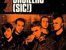 Broilers-(sic )