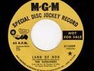 FUNKY/PSYCHE/GARAGE-SUNLINERS (RARE EARTH)-MGM 13809-LAND OF NOD/WELL ONE