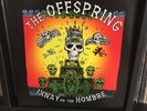 The Offspring - Ixnay on the Hombre limited edition GREEN VINYL w/ MISPRINT 2015