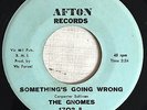 1966 Original US Garage Punk Fuzz 7