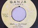 LLOYD PARKS - SHAKE UP YU DREAD - GANJA ( RARE ROOTS REGGAE 7 )