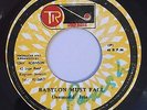 DESMOND IRIE - BABYLON MUST FALL - GROOVE MASTER ( WICKED ROOTS 7 )