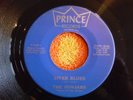 PUNJABS Sitar Blues/Raga-Riff 45 rpm PRINCE 1968 Psychedelic Raga-Rock