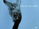 SUNNY DAY REAL ESTATE The Rising Tide 12