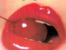 Wild Cherry-`Wild Cherry ``Play That Funky Music```  VINYL LP NEW