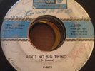 STEVE JORDAN & JORDAN BROTHERS - Ain’t No Big Thing - RARE TEXAS SOUL - Hear