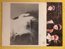 Felt Crumbling The Antiseptic Beauty Let The Snakes Crinkle Vinyl Lp