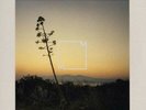 JOAN BIBILONI El Sur LP NEW VINYL Music From Memory reissue Blau