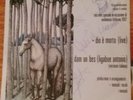 NOMADI DIO È MORTO AUTOGRAFATO DALLA BAND 45 giri Vinilmania 92 COME NUOVO RARO