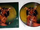 CHER - TAKE ME HOME 1979 PICTURE DISC LP in shrink