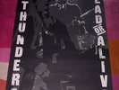 JOHNNY THUNDERS POSTER   DEAD OR ALIVE. Orig large 1978 poster. New York Dolls.