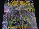Toxic Holocaust 