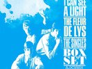 THE FLEUR DE LYS SINGLES BOX SET  I CAN SEE THE LIGHT: 7