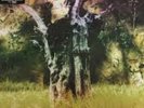 Animal Collective Meeting of the Waters RSD 2017 Vinyl