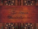 Wunderkammer [VINYL] Fantomas Vinyl