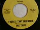 Northern Soul 'Theres that mountain/ love cant be modetnized' The Trips