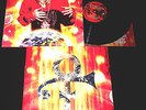 Prince Planet Earth LP record Like Rainbow purple rain NOT promo test press