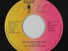 Funk Gospel 45 - Gates Of Heaven - Never Seen God Fail - Dytown - VG++ mp3