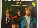 Original the Standells 45rpm picture sleeve, Try It