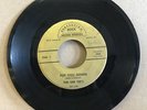 The Gee Tees - Put You Down / Dog RARE GA Garage 45 on Perfection Sound Studios 